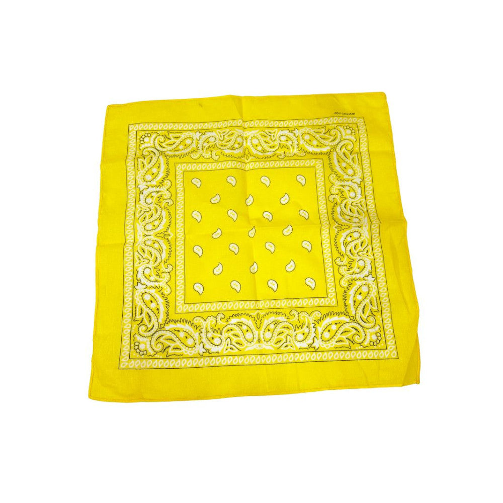 COLOR POP!: Paisley Bandana
