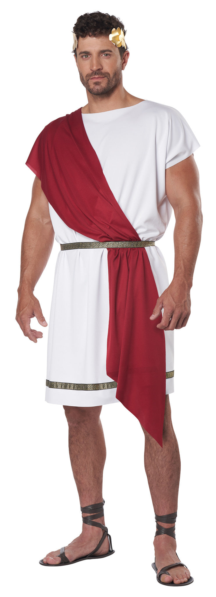 Adult Party Toga