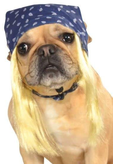 Blue Rock Star Bandanna w/ Blonde Wig: Pet Costume