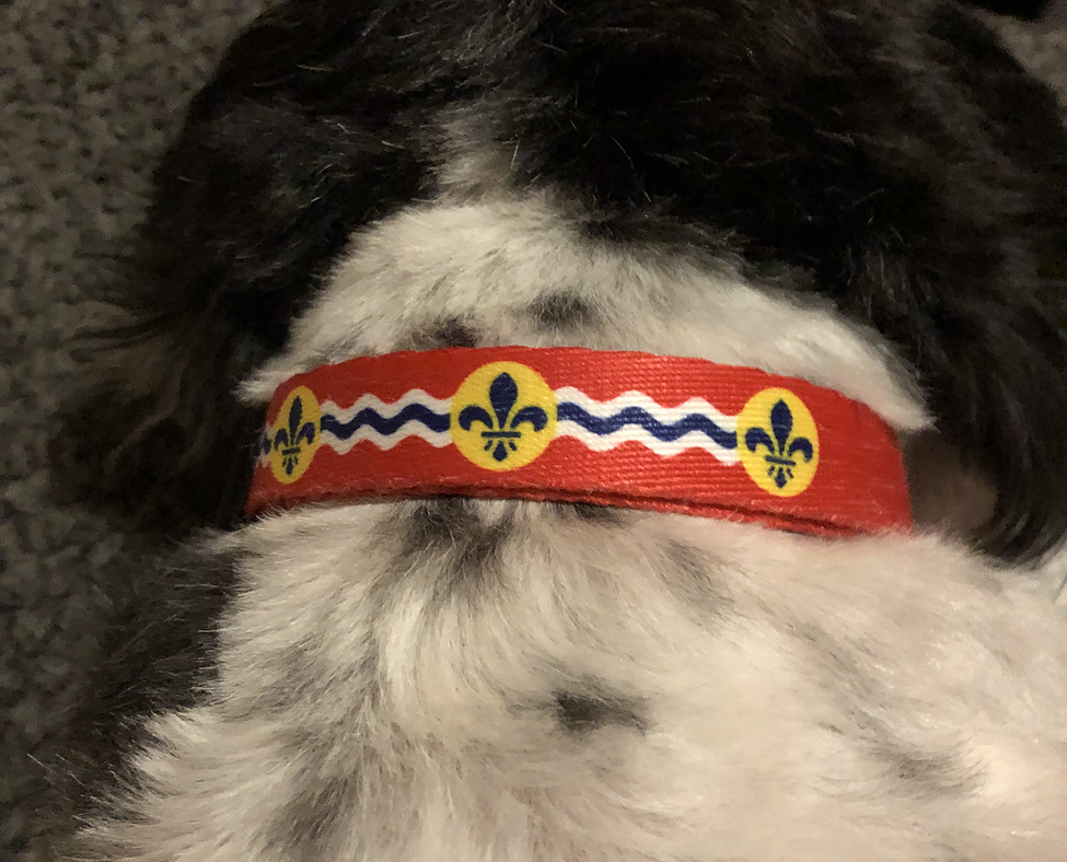 STL Flag Pet Collar