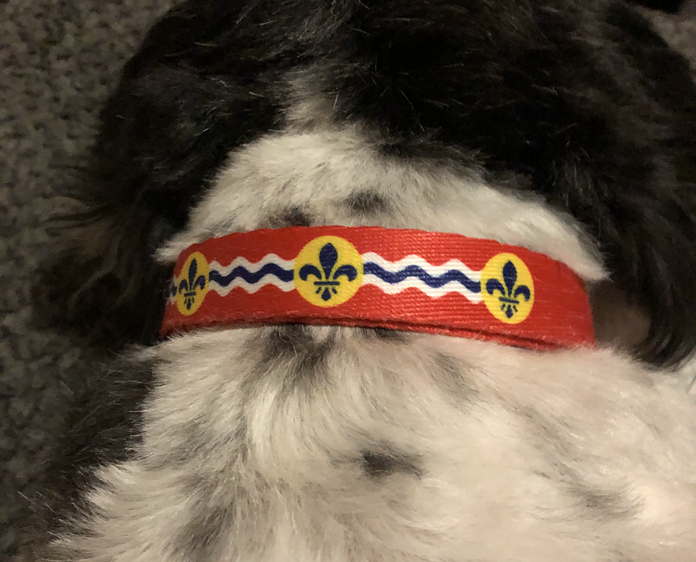 STL Flag Adjustable Dog Collar
