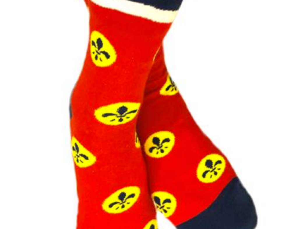 STL Flag Socks