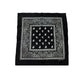 COLOR POP!: Paisley Bandana