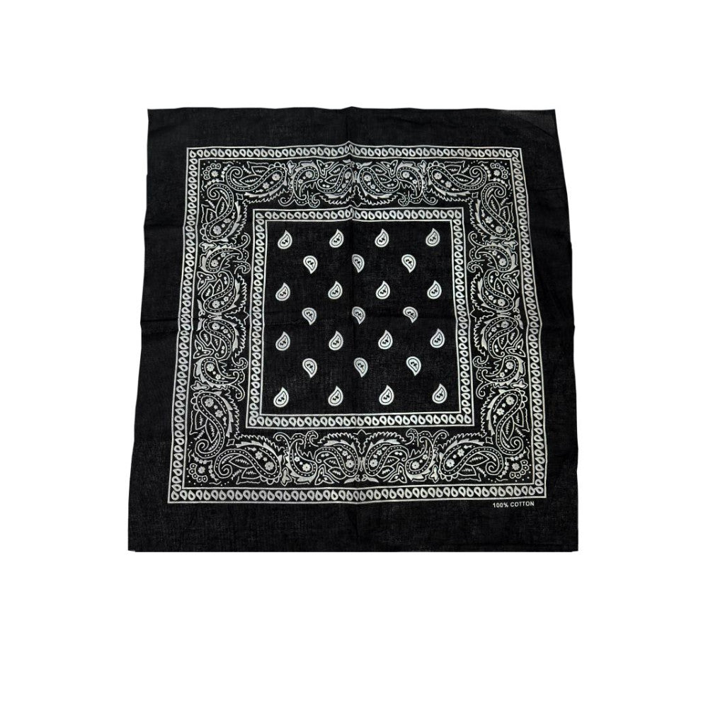 COLOR POP!: Paisley Bandana