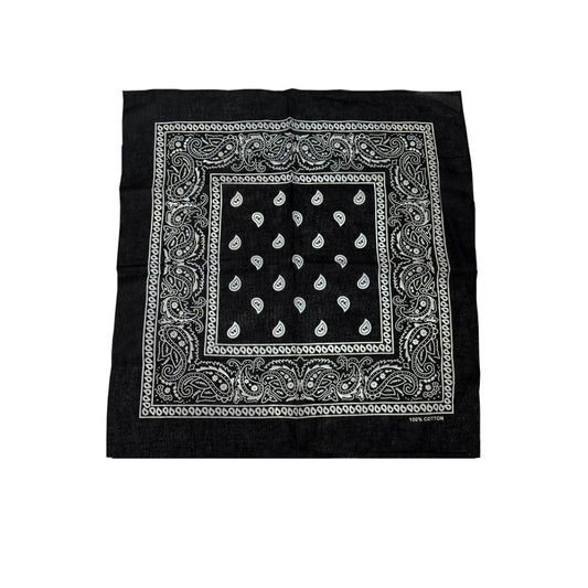 COLOR POP!: Paisley Bandana