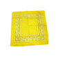 COLOR POP!: Paisley Bandana