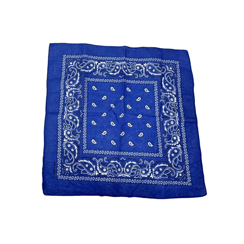 COLOR POP!: Paisley Bandana