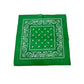 COLOR POP!: Paisley Bandana
