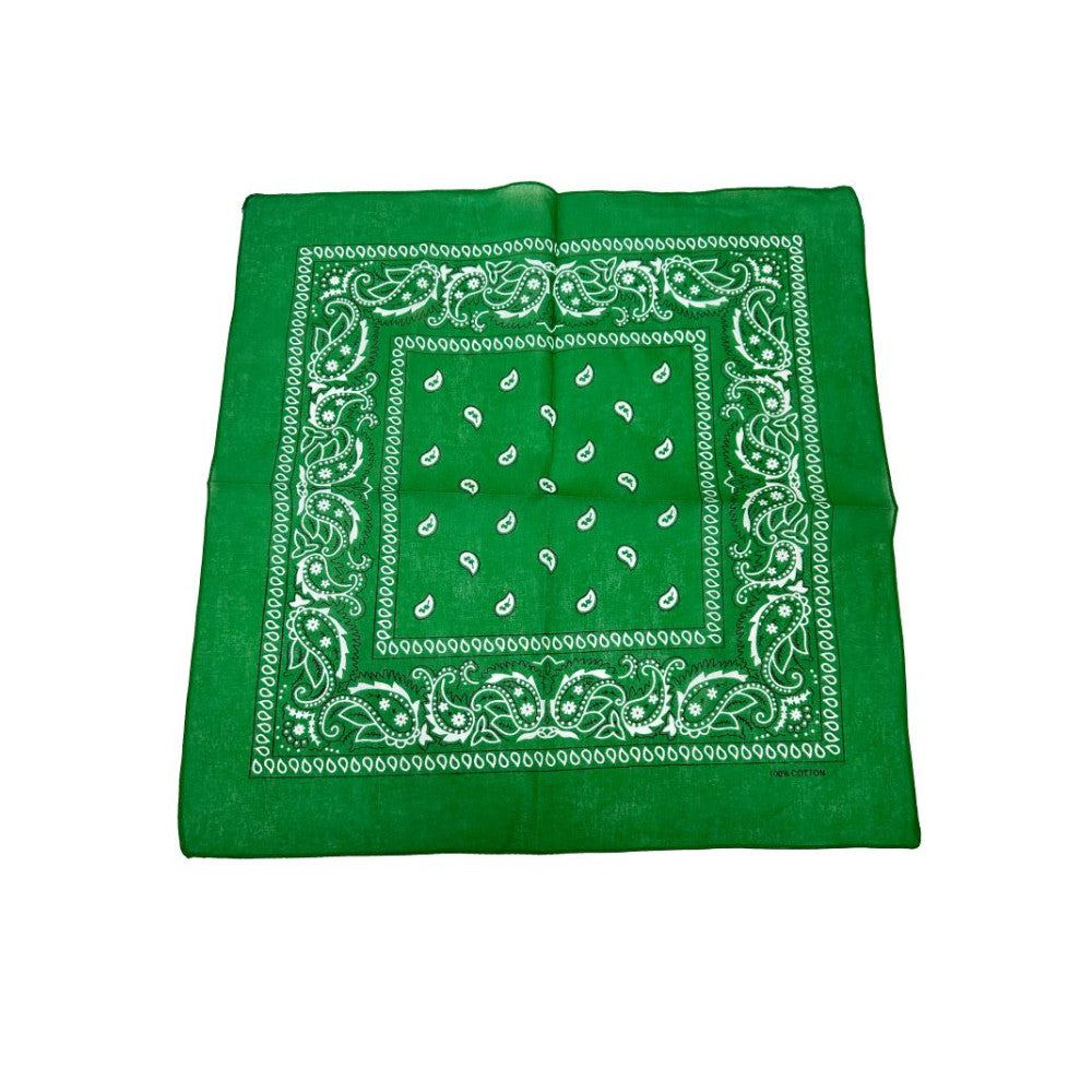 COLOR POP!: Paisley Bandana