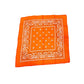 COLOR POP!: Paisley Bandana