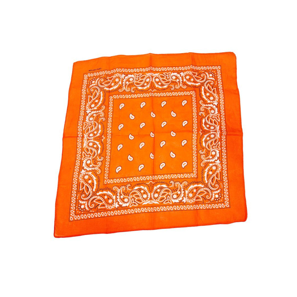 COLOR POP!: Paisley Bandana