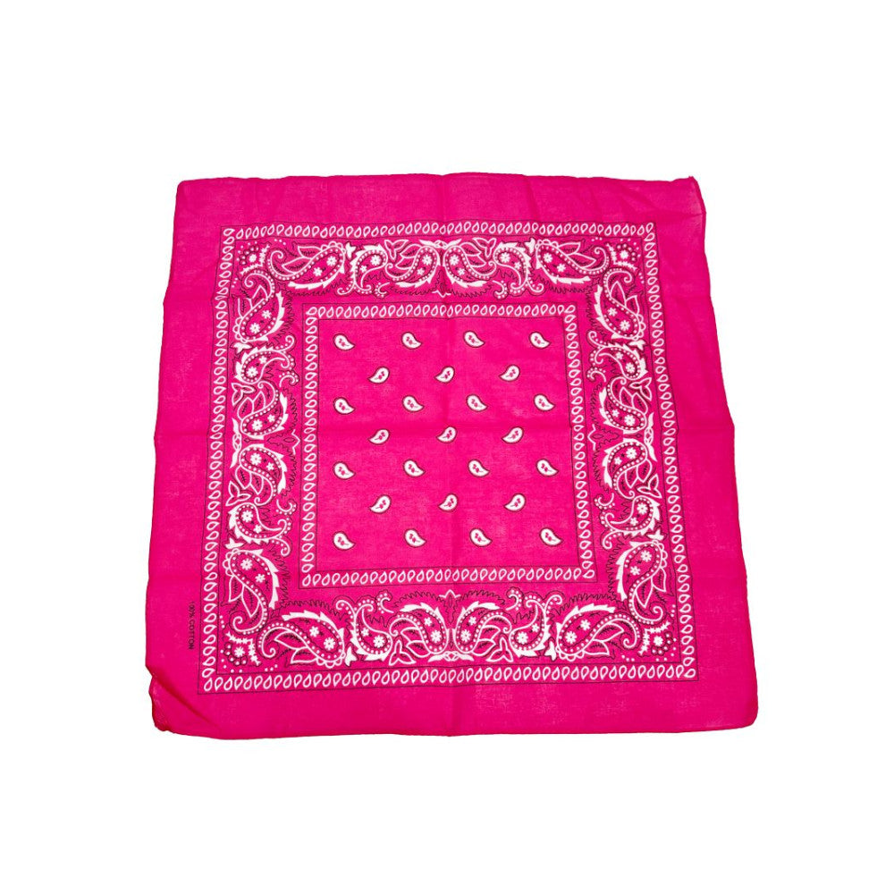 COLOR POP!: Paisley Bandana
