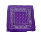 COLOR POP!: Paisley Bandana