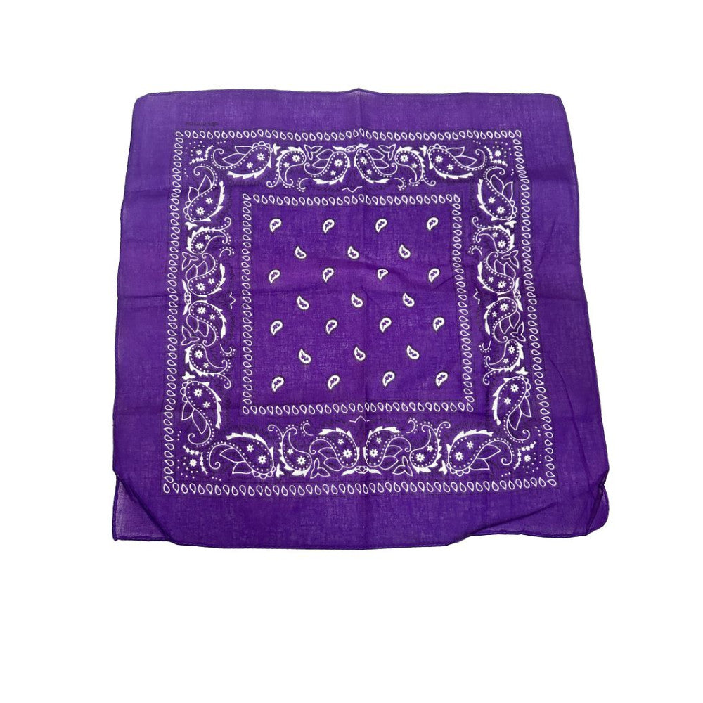 COLOR POP!: Paisley Bandana
