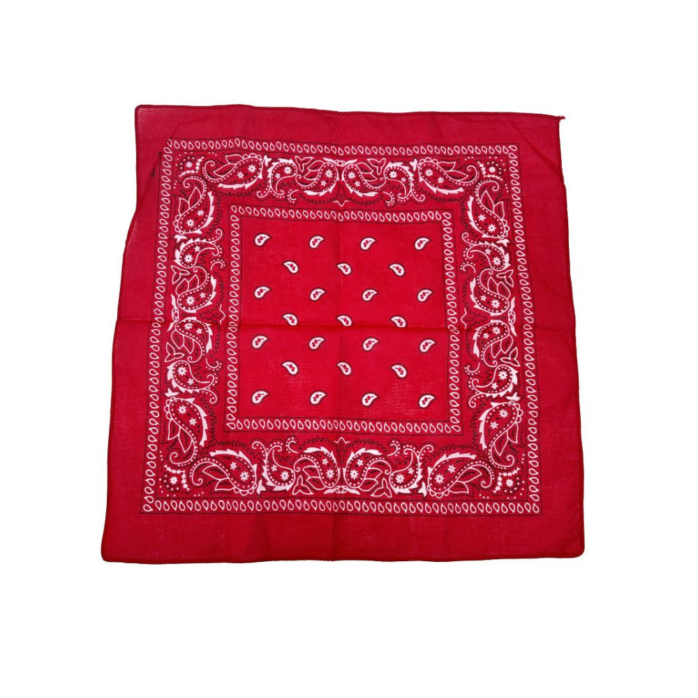 COLOR POP!: Paisley Bandana