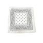 COLOR POP!: Paisley Bandana