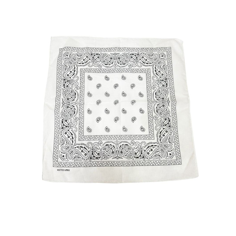 COLOR POP!: Paisley Bandana