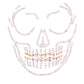 Glow In The Dark Skull Face Jewels