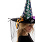 Halloween Peacock Witch Hat