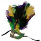 Mardi Gras Feathered Mask