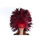 Red Carnival Feather Mask