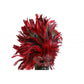 Red Carnival Feather Mask