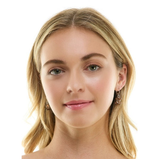 Silver Skull Earrings