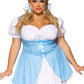 Women's Plus Gingham Dress: Blue/White