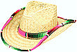 Western Hat w/ Serape Trim