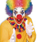 Adult Clown Afro Wig: Rainbow