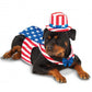 Big Dog: Uncle Sam