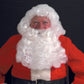 DLX. Santa White Wig & Beard