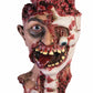 Rotten Zombie Head