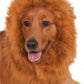 Deluxe Lion's Mane for Pets