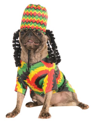 Rasta Dog