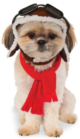 Aviator Pet Hat/Scarf Set