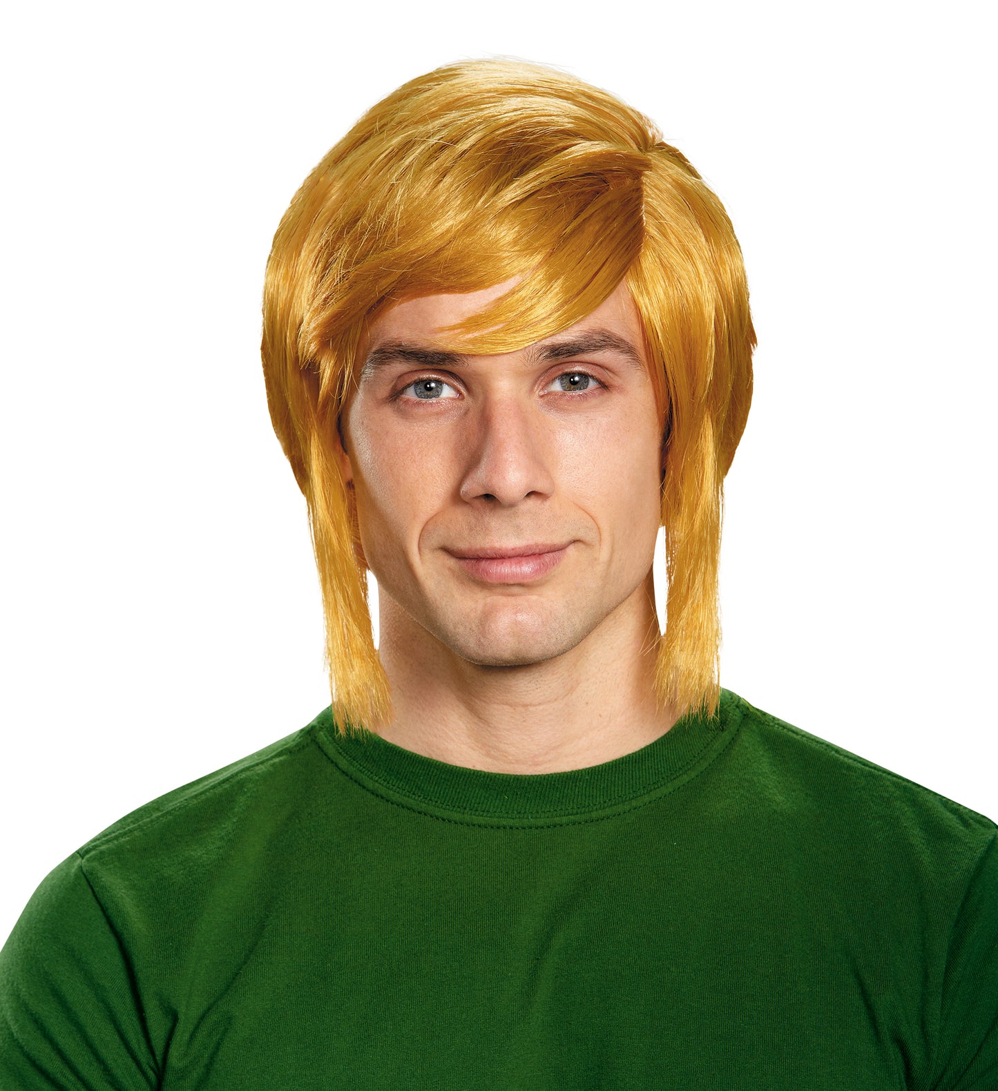 Link Adult Wig