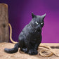 13" Realistic Scary Black Cat