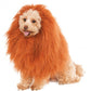 Deluxe Lion's Mane for Pets