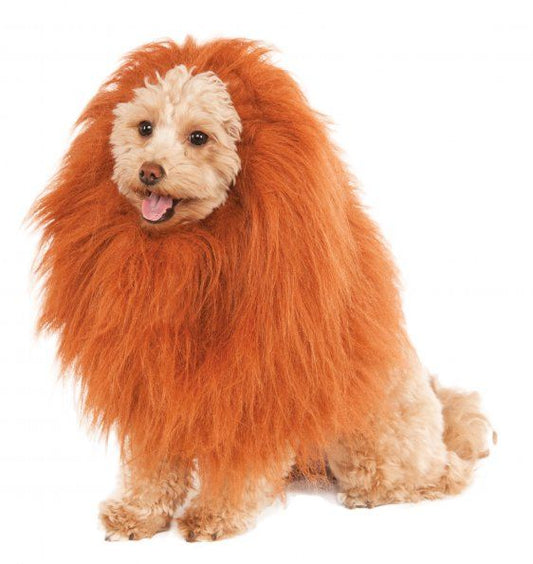 Deluxe Lion's Mane for Pets