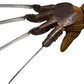 Deluxe Freddy Krueger Glove