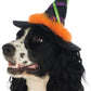 Witch Pet Hat w/ Trim