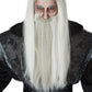 Dark Wizard Wig/Beard: Gray