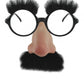 Groucho Marx Glasses