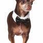 Pet Tuxedo Bowtie & Cuff Set