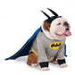 Big Dog: Batman