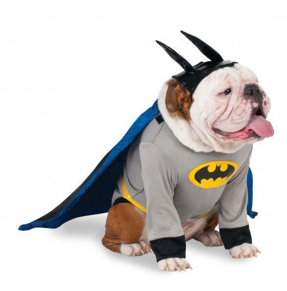 Big Dog: Batman