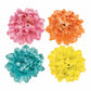 Oasis Mini Rose Hair Clips (4pk)