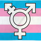 Flag (3x5Ft) - Transgender (Symbol)