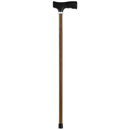 100th Day of School Walking Cane